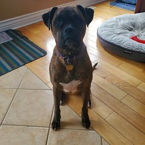 Meet your Posher, Manie